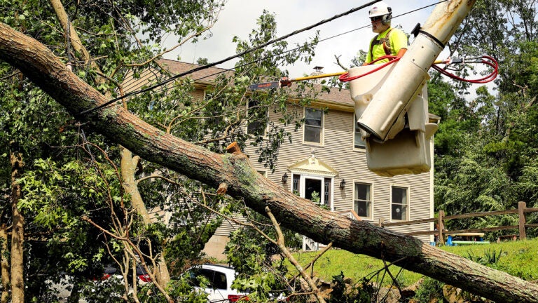 A worker in a bucket truck cuts branches on a downed tree that is atop power lines, in front of a brown two-story home.
